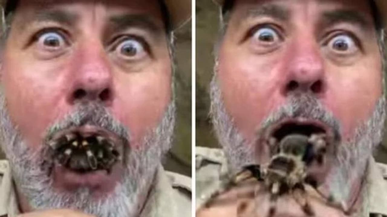 കൂറ്റൻ ചിലന്തിയെ വായിലിട്ട് മൃഗശാല ജീവനക്കാരൻ, വൈറലായി വീഡിയോ, ഞെട്ടി ആളുകള് കൂറ്റൻ ചിലന്തിയെ വായിലിട്ട് മൃഗശാല ജീവനക്കാരൻ, വൈറലായി വീഡിയോ, ഞെട്ടി ആളുകള്