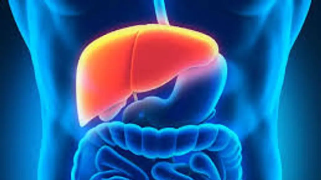 Liver Health: കരളിനെ സംരക്ഷിക്കാൻ കഴിക്കാം ഈ ഭക്ഷണങ്ങൾ Liver Health: കരളിനെ സംരക്ഷിക്കാൻ കഴിക്കാം ഈ ഭക്ഷണങ്ങൾ