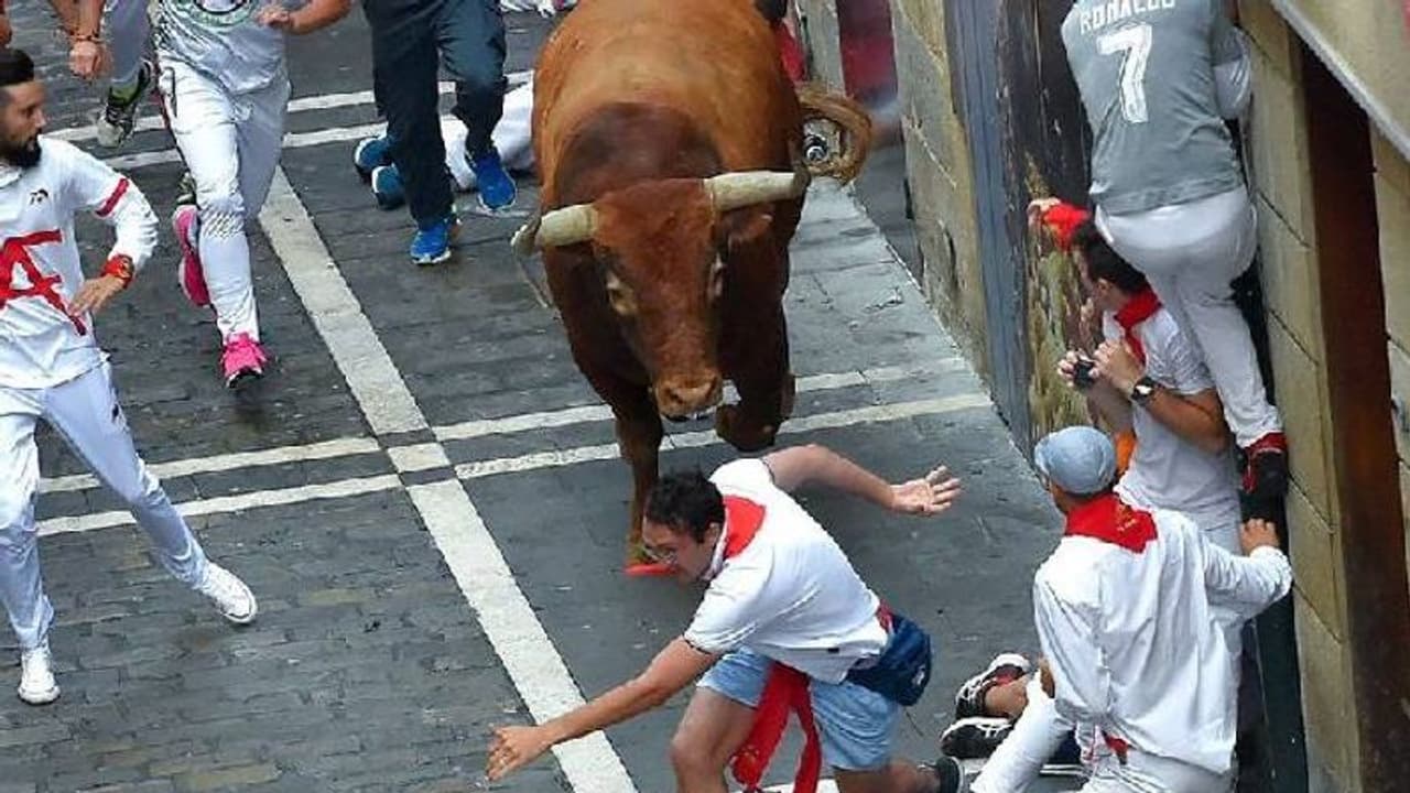 കാളയോട്ട ആഘോഷം, 55 കാരനെ കാള കുത്തിക്കൊന്നു, ഇത്തരം ആഘോഷങ്ങള് വേണോ? ചർച്ച ശക്തം കാളയോട്ട ആഘോഷം, 55 കാരനെ കാള കുത്തിക്കൊന്നു, ഇത്തരം ആഘോഷങ്ങള് വേണോ? ചർച്ച ശക്തം