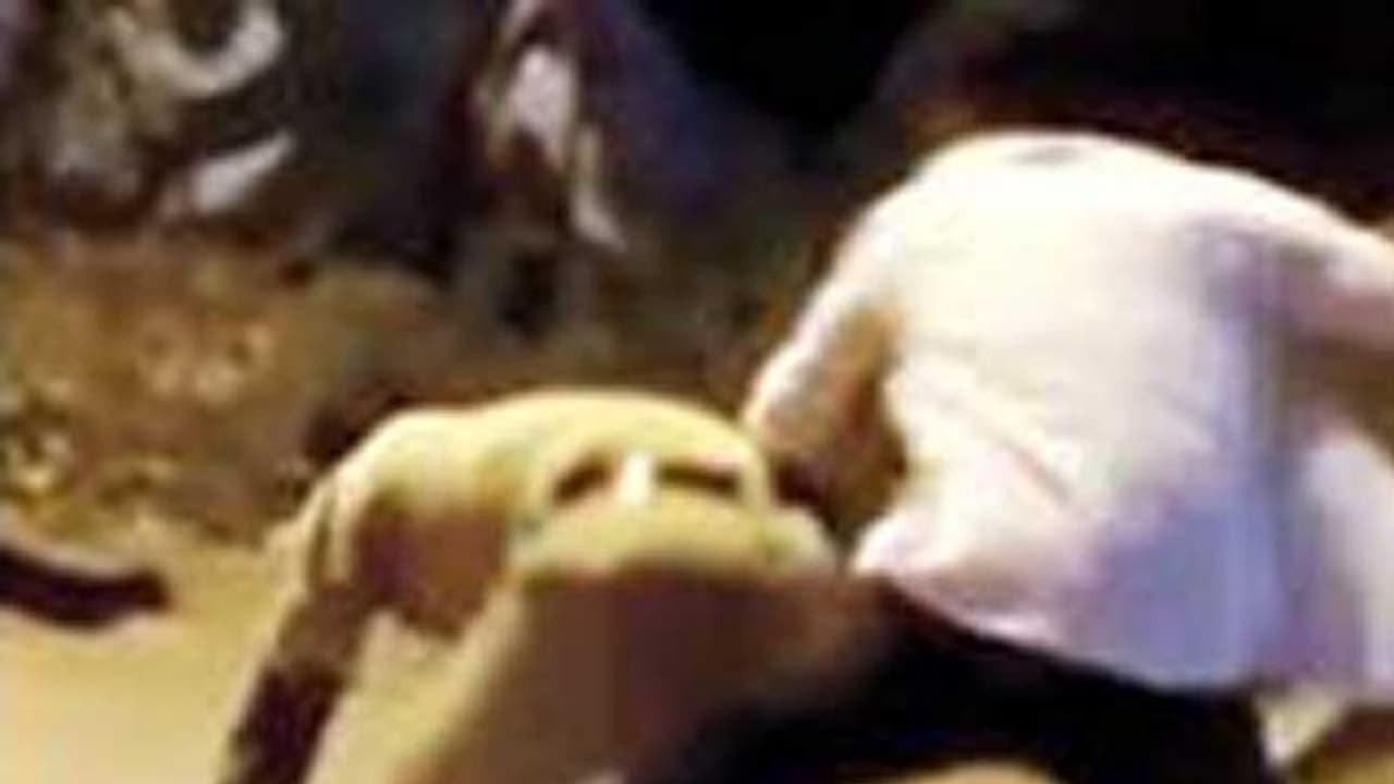 அதிர்ச்சி சம்பவம்.. நடுரோட்டில் சப் இன்ஸ்பெக்டருடன் கட்டிப்புரண்டு சண்டைபோட்ட சாப்ட்வேர் இன்ஜினியர்..! அதிர்ச்சி சம்பவம்.. நடுரோட்டில் சப் இன்ஸ்பெக்டருடன் கட்டிப்புரண்டு சண்டைபோட்ட சாப்ட்வேர் இன்ஜினியர்..!