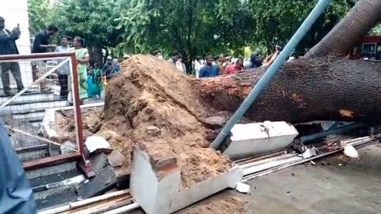 ದೇವಸ್ಥಾನದ ಬಳಿ ಬಿರುಗಾಳಿಗೆ ಉರುಳಿದ ಬೃಹತ್ ಮರ: 7 ಭಕ್ತರು ಬಲಿ, 20 ಕ್ಕೂ ಹೆಚ್ಚು ಮಂದಿಗೆ ಗಾಯ ದೇವಸ್ಥಾನದ ಬಳಿ ಬಿರುಗಾಳಿಗೆ ಉರುಳಿದ ಬೃಹತ್ ಮರ: 7 ಭಕ್ತರು ಬಲಿ, 20 ಕ್ಕೂ ಹೆಚ್ಚು ಮಂದಿಗೆ ಗಾಯ