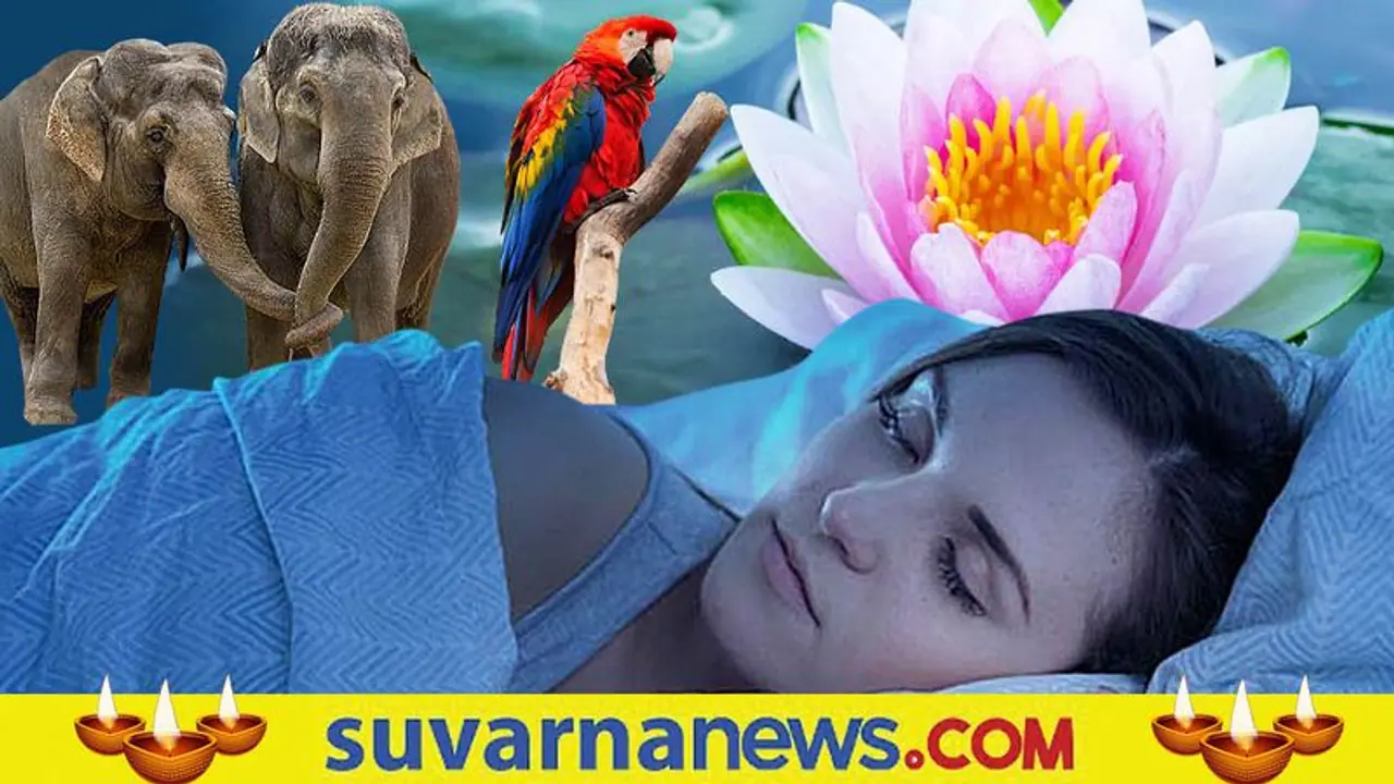 ಕನಸಲ್ಲಿ ಈ ವಸ್ತುಗಳ ಕಂಡರೆ ಸೌಭಾಗ್ಯ...!!!