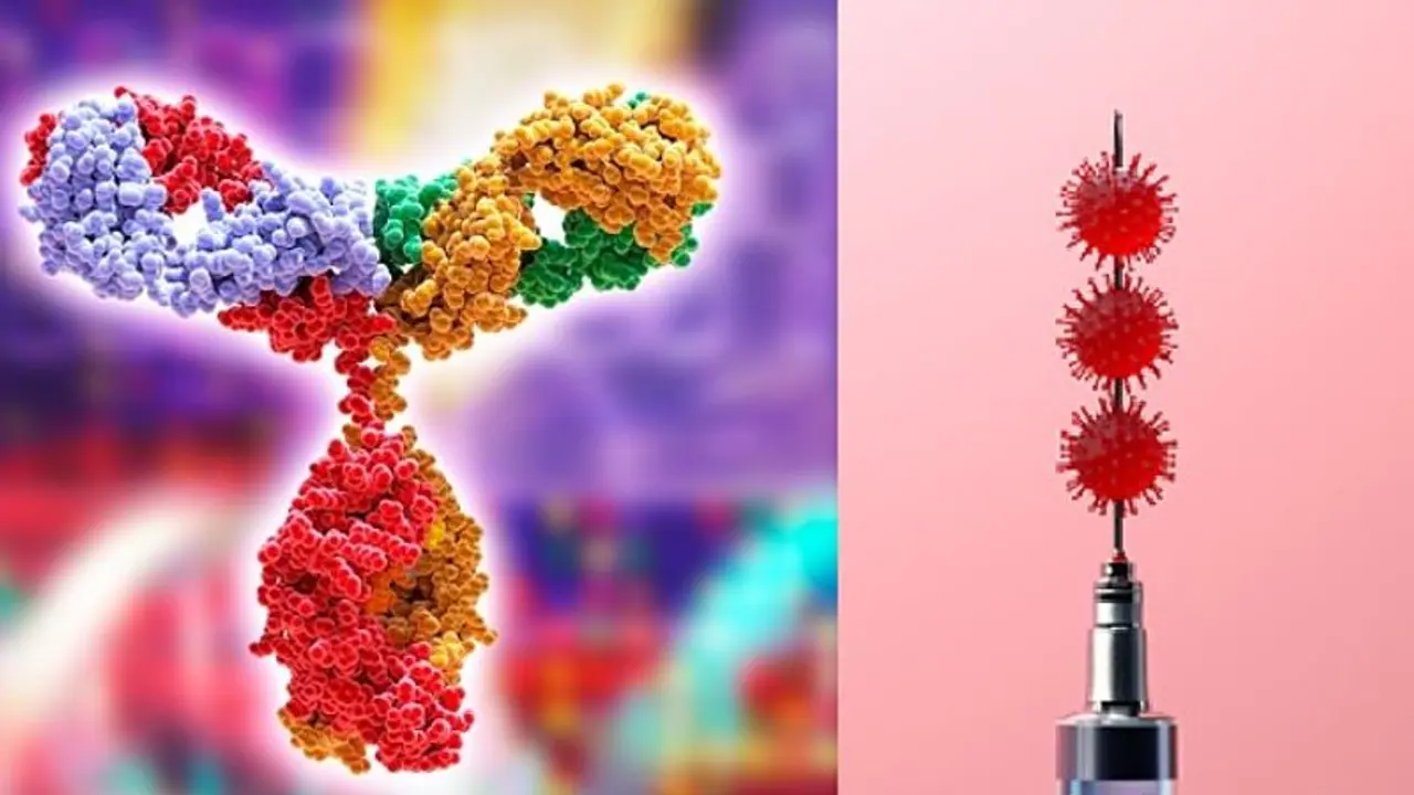 Doctor's Meet: করোনা রোধে মনোক্লোনাল থেরাপি সমাধান নয়, বার্তা শহরের চিকিৎসকদের