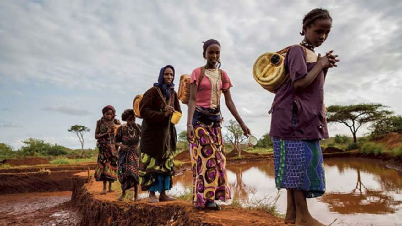 Climate Change पर UNEP की रिपोर्ट: कोशिशों में कई बड़ी खामियां, फंड को लेकर भी वादे पूरे नहीं Climate Change पर UNEP की रिपोर्ट: कोशिशों में कई बड़ी खामियां, फंड को लेकर भी वादे पूरे नहीं