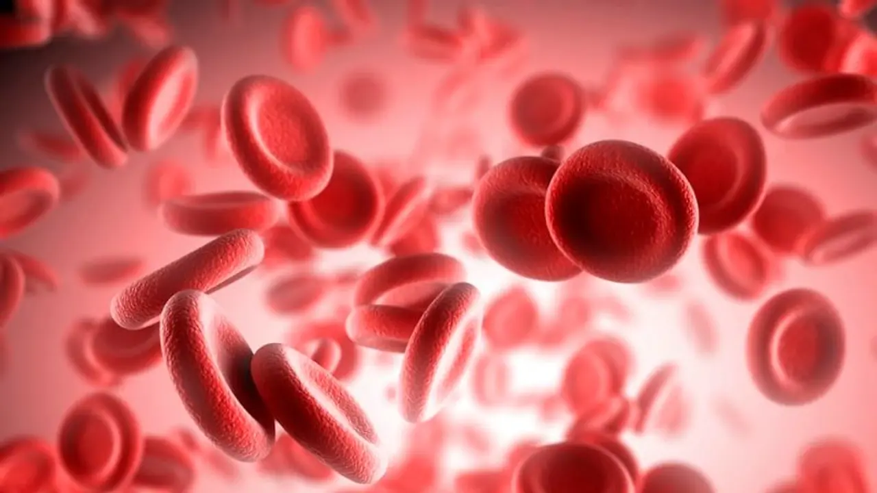 low platelet count| പ്ലേറ്റ്‍ലെറ്റ് കൗണ്ട് കൂട്ടാൻ സഹായിക്കുന്ന ആറ് ഭക്ഷണങ്ങളിതാ...