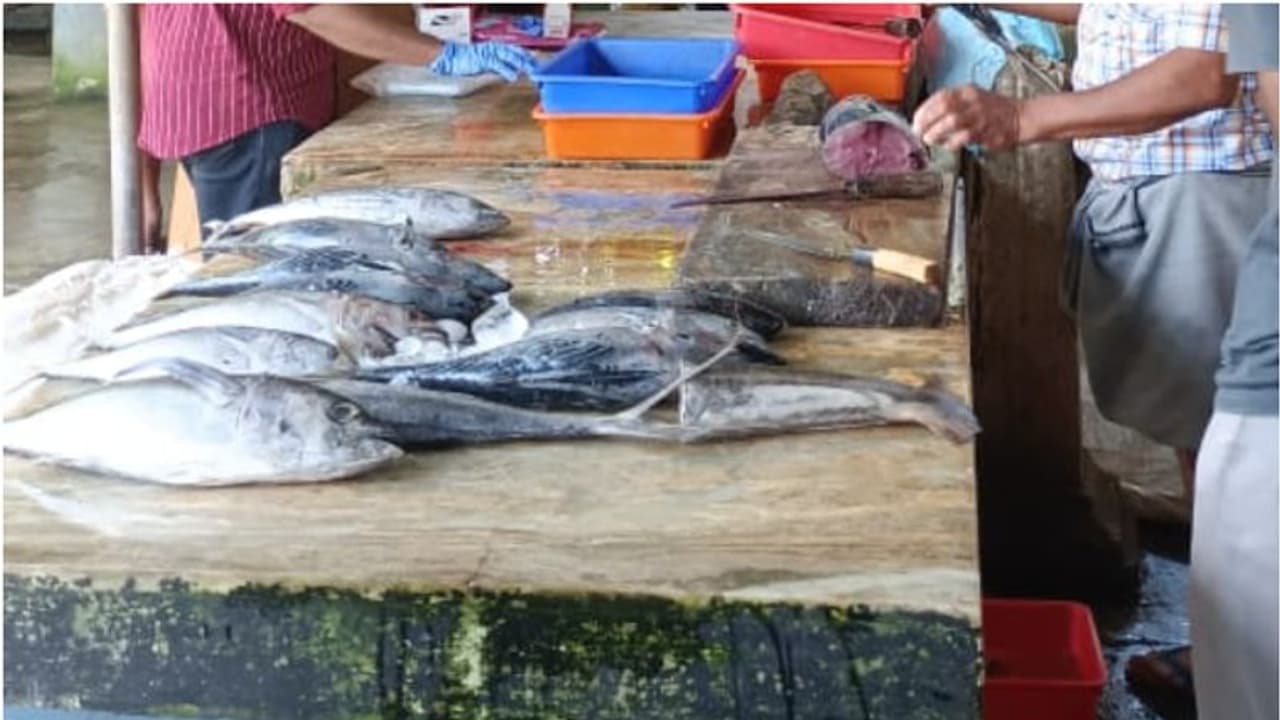 'ലേശമല്ല... നല്ല വാട്ടമുണ്ടല്ലോ...'; ഫോർമാലിൻ ചേർത്ത 90 കിലോ മത്സ്യം പിടിച്ചെടുത്തു 'ലേശമല്ല... നല്ല വാട്ടമുണ്ടല്ലോ...'; ഫോർമാലിൻ ചേർത്ത 90 കിലോ മത്സ്യം പിടിച്ചെടുത്തു