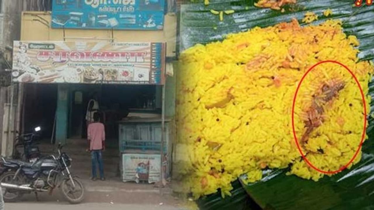 ஹோட்டலில் வாங்கிய லெமன் சாதத்தில் பல்லி.. சாப்பிட்ட 2 குழந்தைகள் மயக்கம்.. மருத்துவமனையில் தீவிர சிகிச்சை.! ஹோட்டலில் வாங்கிய லெமன் சாதத்தில் பல்லி.. சாப்பிட்ட 2 குழந்தைகள் மயக்கம்.. மருத்துவமனையில் தீவிர சிகிச்சை.!