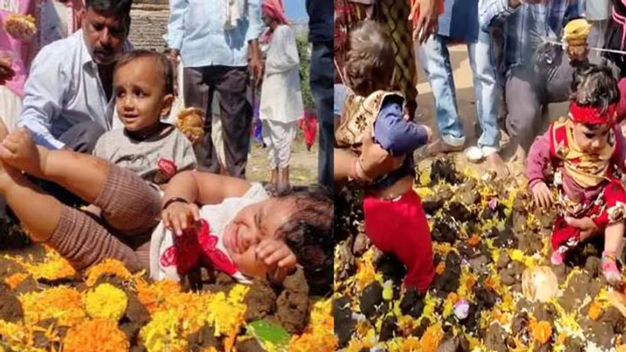 Govardhan Puja: MP में एक ऐसा गांव, जहां बच्चों को दबाया जाता है गोबर के ढेर में, लोग बोले सुखी निरोगी रहते Govardhan Puja: MP में एक ऐसा गांव, जहां बच्चों को दबाया जाता है गोबर के ढेर में, लोग बोले सुखी निरोगी रहते