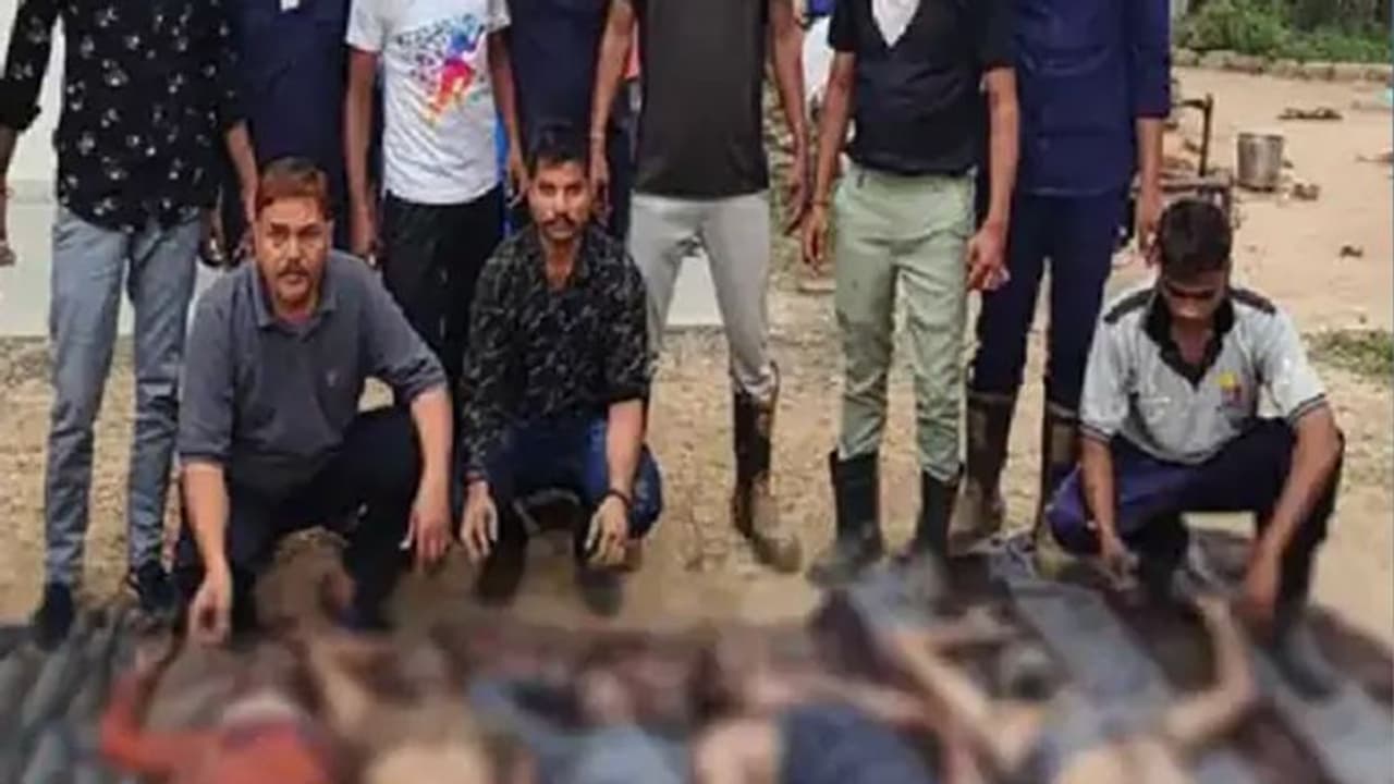 Bhai DooJ पर गुजरात में बड़ा हादसा: केमिकल फैक्ट्री टैंक में 5 मजदूरों की मौत..यूं खत्म हुईं जिंदगियां Bhai DooJ पर गुजरात में बड़ा हादसा: केमिकल फैक्ट्री टैंक में 5 मजदूरों की मौत..यूं खत्म हुईं जिंदगियां