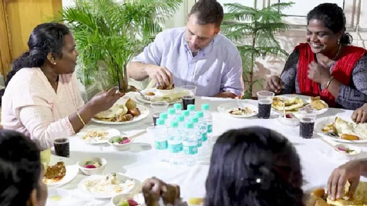 പാട്ടും സംസാരവും ഡിന്നറും; രസകരമായ വീഡിയോ പങ്കുവച്ച് രാഹുല് ഗാന്ധി പാട്ടും സംസാരവും ഡിന്നറും; രസകരമായ വീഡിയോ പങ്കുവച്ച് രാഹുല് ഗാന്ധി