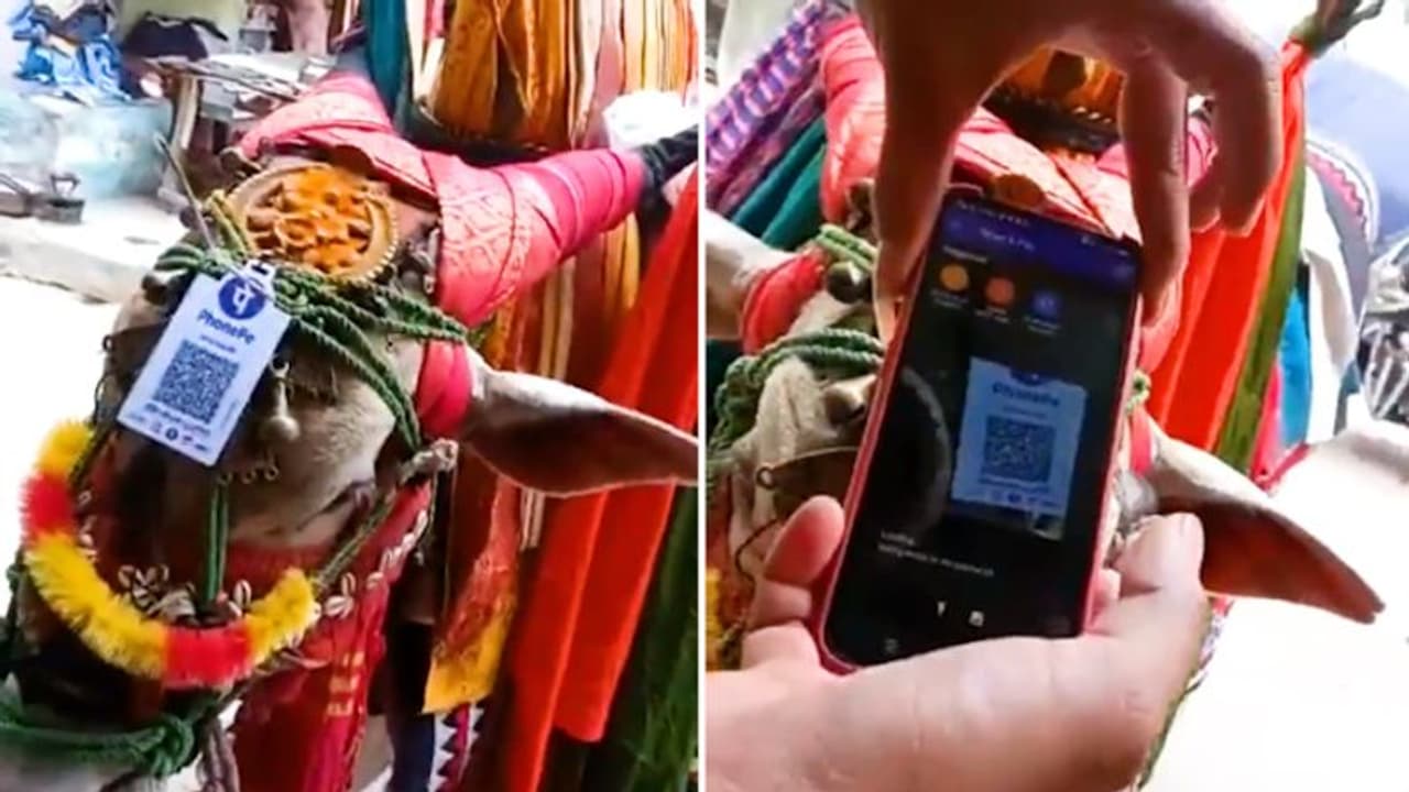 Street performer with bull takes digital payment to next level; Anand Mahindra shares amazing video