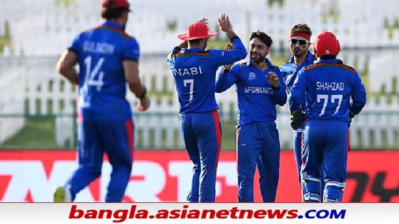T20 WC 2021, NZ vs AFG ইতিহাস গড়লেন রশিদ, সবথেকে কম বয়সে ৪০০ উইকেটে শিখরে আফগান স্পিনার T20 WC 2021, NZ vs AFG ইতিহাস গড়লেন রশিদ, সবথেকে কম বয়সে ৪০০ উইকেটে শিখরে আফগান স্পিনার