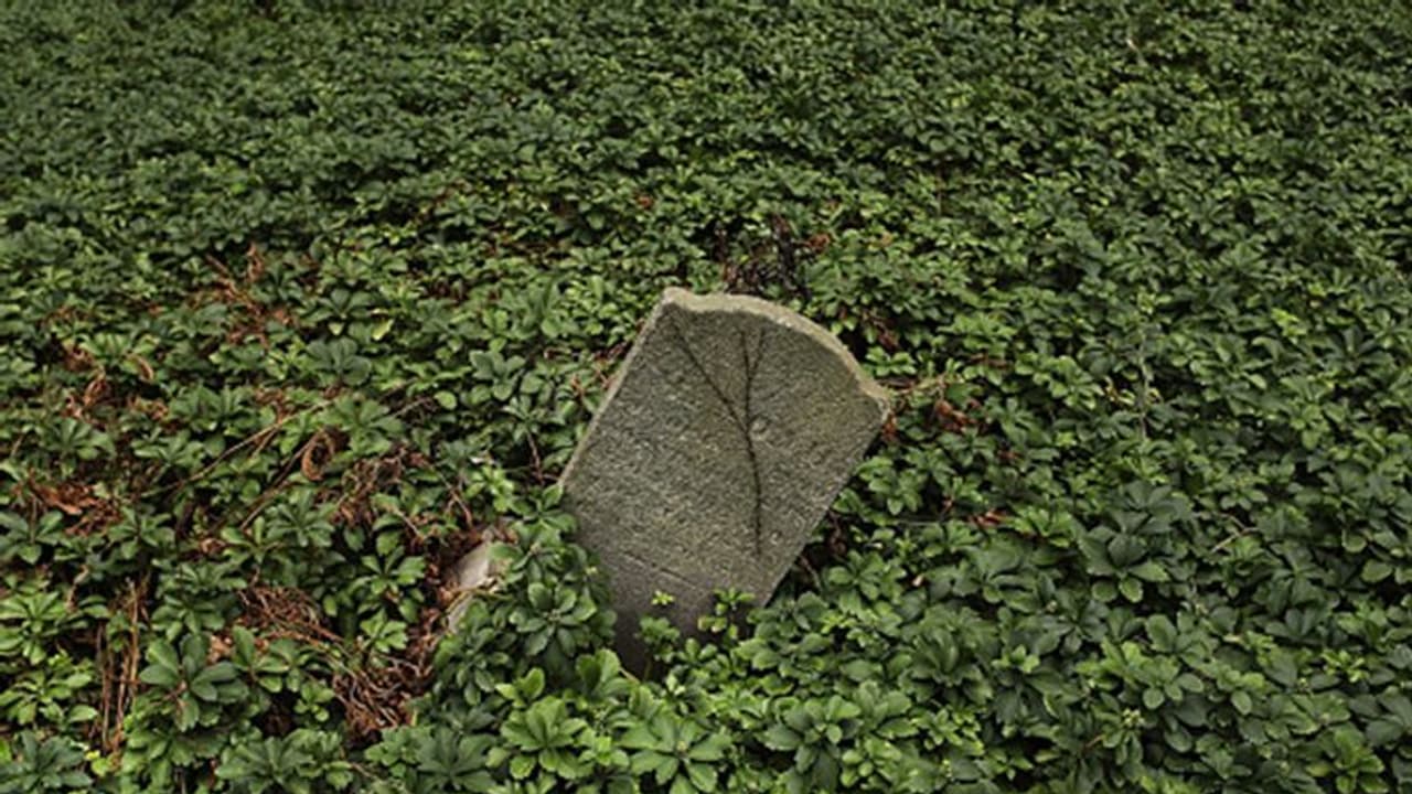 रोड किनारे मिला एक रहस्यमयी कब्रिस्तान का पत्थर, FB पर फोटो डाल पुलिस ने लिखी अजीब सी बात रोड किनारे मिला एक रहस्यमयी कब्रिस्तान का पत्थर, FB पर फोटो डाल पुलिस ने लिखी अजीब सी बात