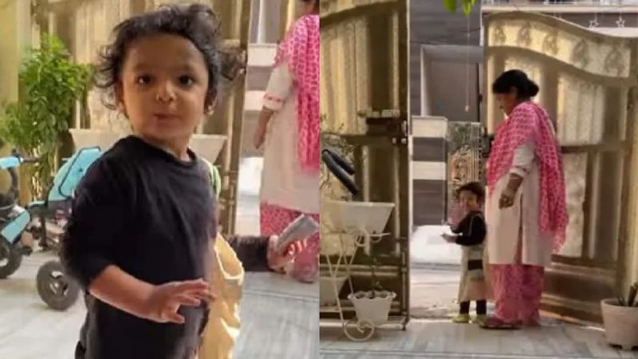 'തക്കാളി, ബ്രൊക്കോളി, ക്യാപ്സിക്കം...'; സഞ്ചിയും ലിസ്റ്റുമായി പച്ചക്കറി വാങ്ങാന് പോകുന്ന കുരുന്ന്; വീഡിയോ 'തക്കാളി, ബ്രൊക്കോളി, ക്യാപ്സിക്കം...'; സഞ്ചിയും ലിസ്റ്റുമായി പച്ചക്കറി വാങ്ങാന് പോകുന്ന കുരുന്ന്; വീഡിയോ