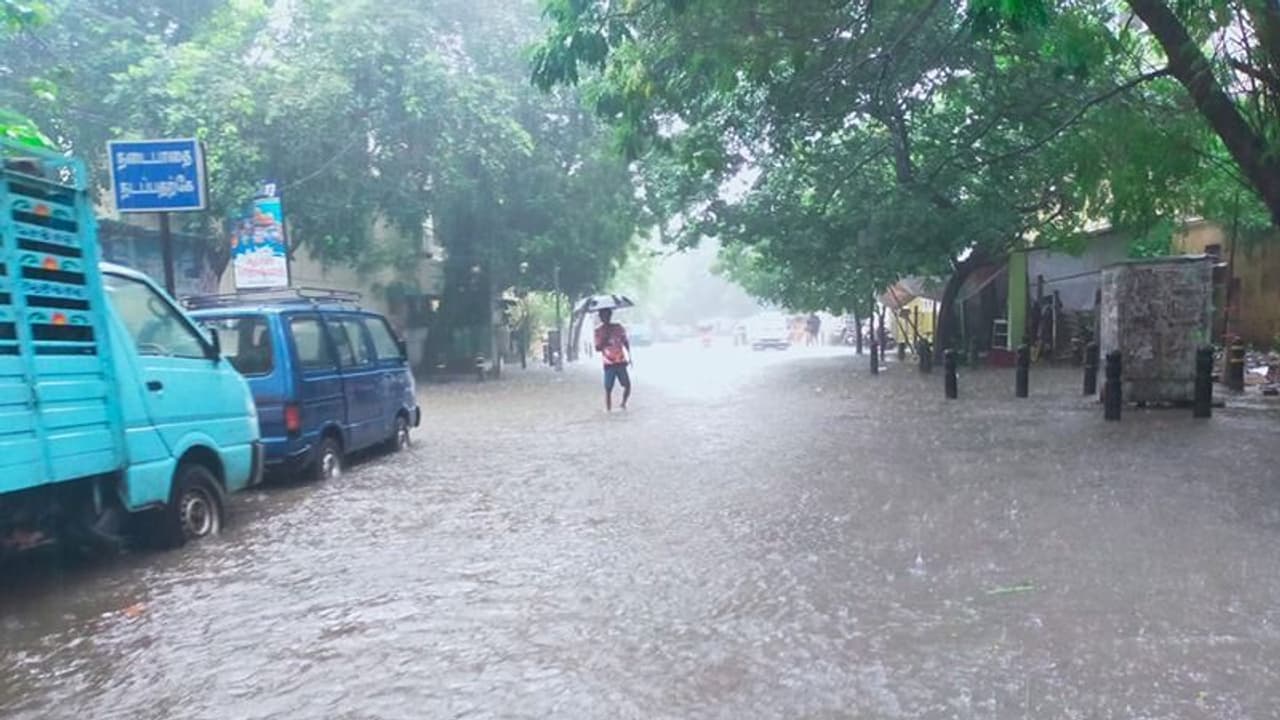 தமிழகத்தில் எந்தெந்த மாவட்டங்களில் மழைக்கு வாய்ப்பு.. வானிலை மையம் சொன்ன குட்நியூஸ்! தமிழகத்தில் எந்தெந்த மாவட்டங்களில் மழைக்கு வாய்ப்பு.. வானிலை மையம் சொன்ன குட்நியூஸ்!