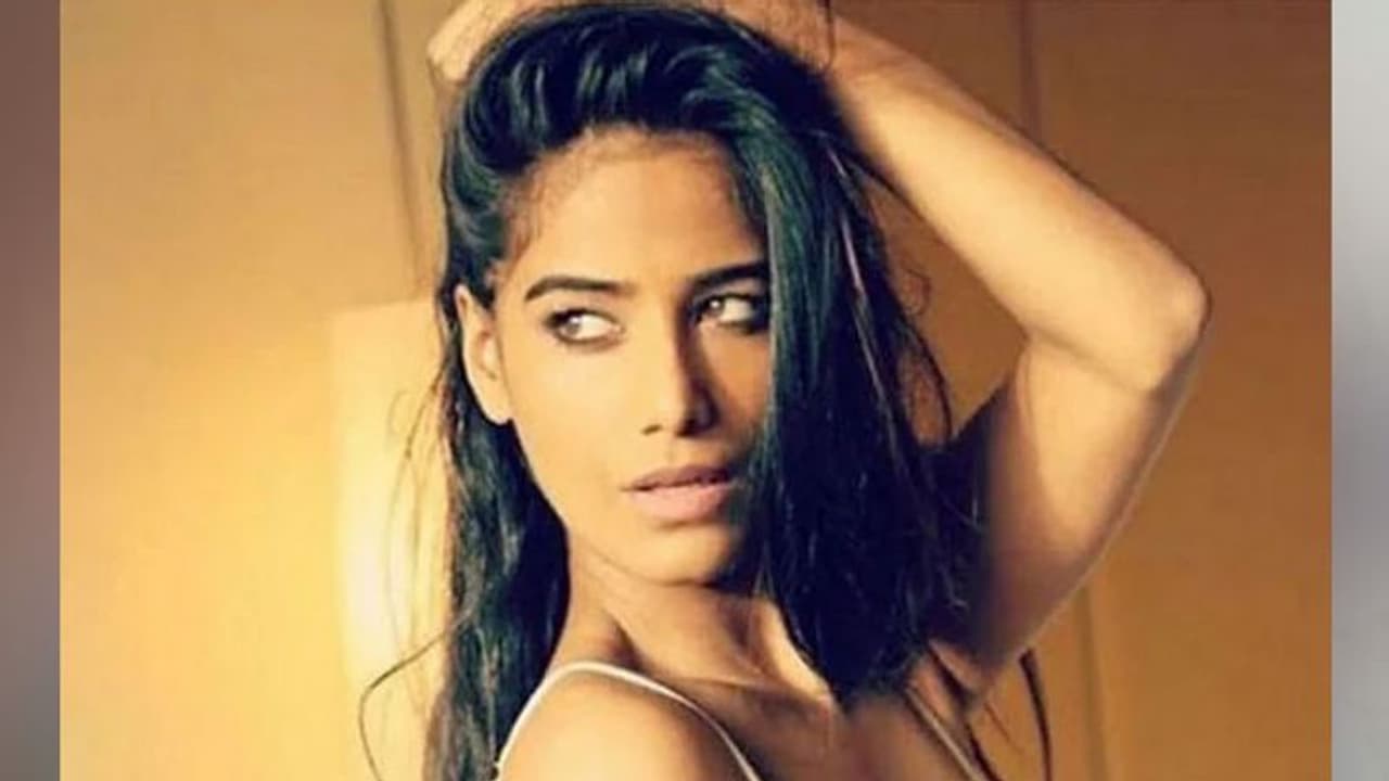 Poonam Pandey Video ফের সোশ্যাল মিডিয়ায় ভাইরাল পুনম পান্ডে,খালি গাড়িতে ভুতুড়ে সঙ্গম Poonam Pandey Video ফের সোশ্যাল মিডিয়ায় ভাইরাল পুনম পান্ডে,খালি গাড়িতে ভুতুড়ে সঙ্গম