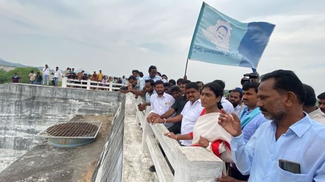 YS Sharmila Padayatra: ఉదయసముద్రం ప్రాజెక్ట్ ను పరిశీలించిన వైఎస్ షర్మిల (వీడియో) YS Sharmila Padayatra: ఉదయసముద్రం ప్రాజెక్ట్ ను పరిశీలించిన వైఎస్ షర్మిల (వీడియో)