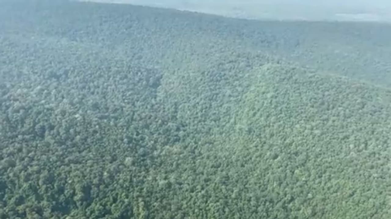 Warangal Forest: వరంగల్లో అడవులు ఎంత అందగా ఉన్నాయో.. బ్యూటీఫుల్ వీడియో షేర్ చేసిన ఎరిక్ సోల్హీమ్ Warangal Forest: వరంగల్లో అడవులు ఎంత అందగా ఉన్నాయో.. బ్యూటీఫుల్ వీడియో షేర్ చేసిన ఎరిక్ సోల్హీమ్