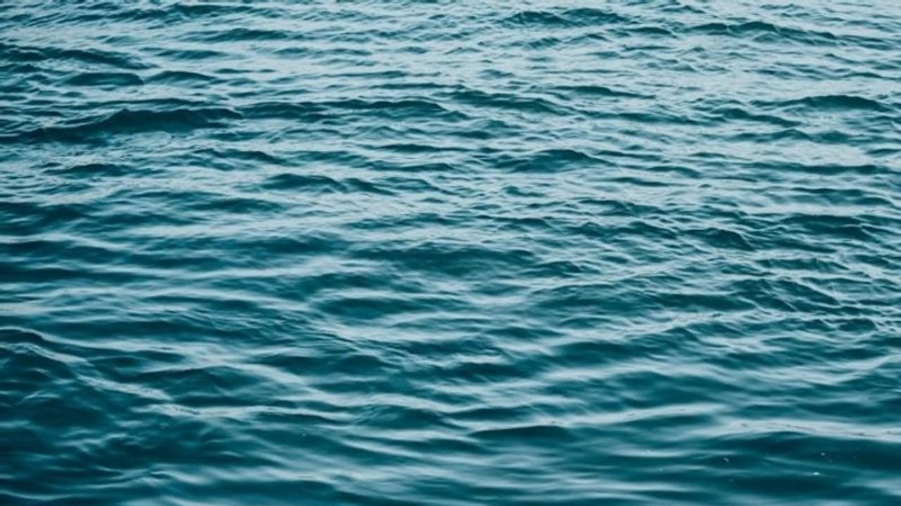 Man Missing in River : കോളേജ് അധ്യാപകൻ ചാലിയാർ പുഴയിൽ ഒഴുക്കിൽപ്പെട്ടു, തെരച്ചിൽ തുടരുന്നു