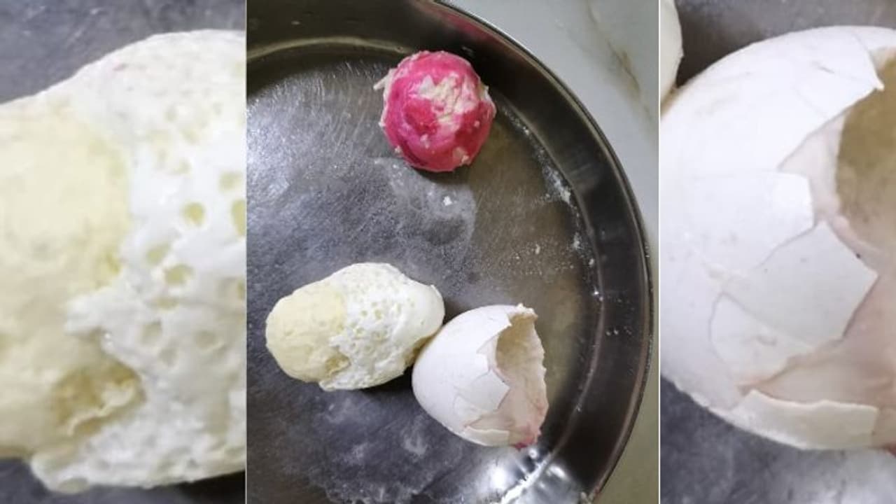 പന്തീരങ്കാവിൽ ഫുഡ് സേഫ്റ്റി ഓഫീസറുടെ ഇടപെടലില് വന് ഭക്ഷ്യവിഷബാധ ഒഴിവായി പന്തീരങ്കാവിൽ ഫുഡ് സേഫ്റ്റി ഓഫീസറുടെ ഇടപെടലില് വന് ഭക്ഷ്യവിഷബാധ ഒഴിവായി