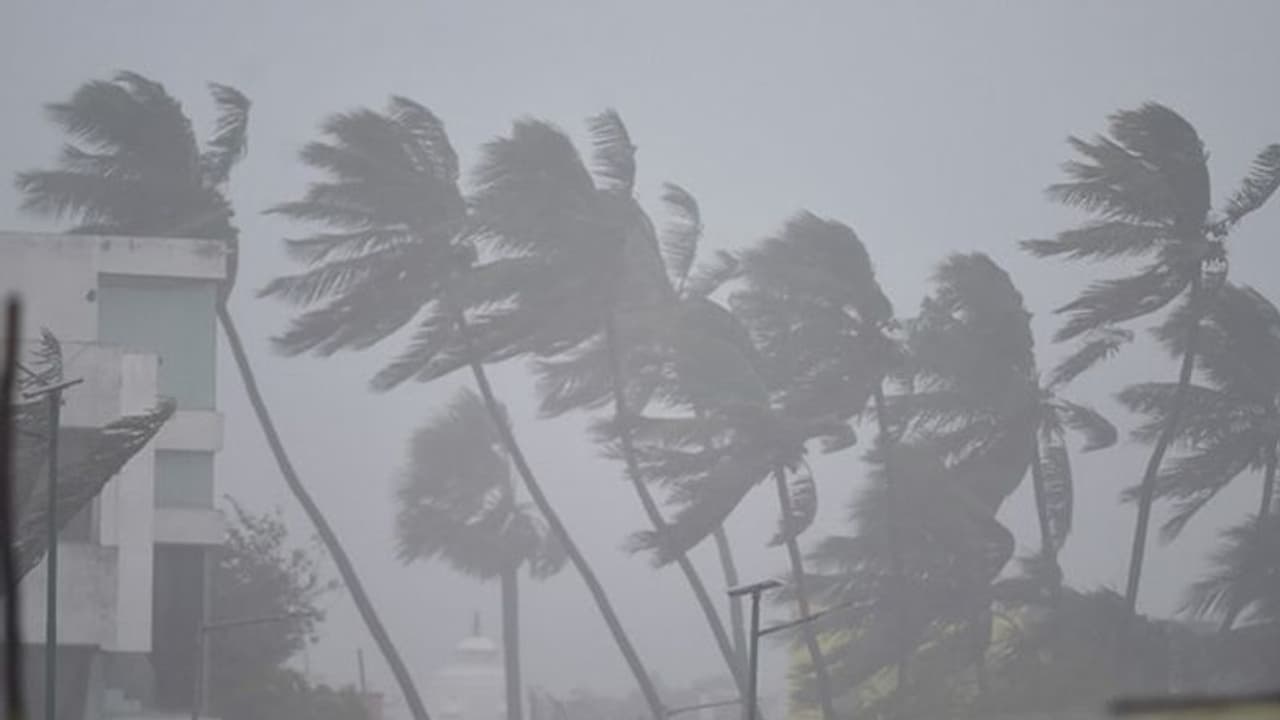 Chennai Floods: ஆண்டவா சென்னை என்ன கதி ஆகப்போகுதோ.. போக்குவரத்து நிறுத்தம்.. 16 சுரங்கபாதைகள் மூடல்.. Chennai Floods: ஆண்டவா சென்னை என்ன கதி ஆகப்போகுதோ.. போக்குவரத்து நிறுத்தம்.. 16 சுரங்கபாதைகள் மூடல்..