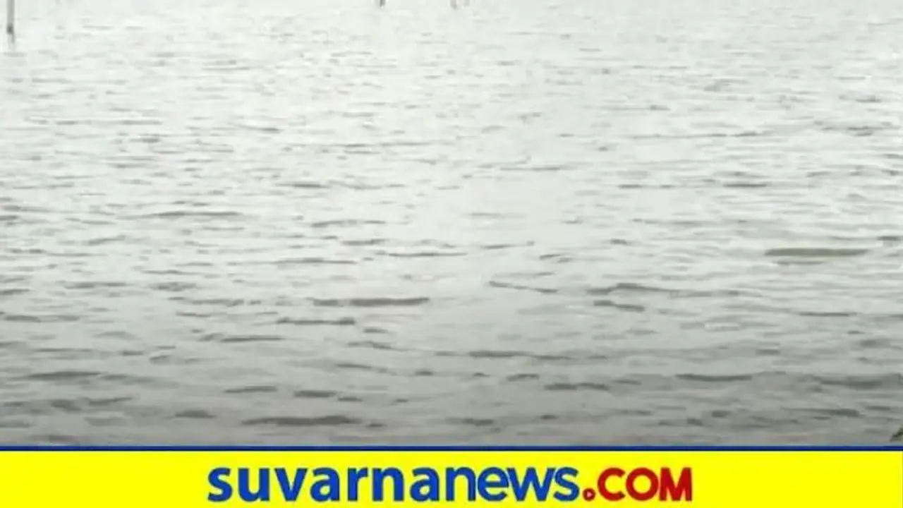 Farm land Submerge : ಕೆರೆ ಹಿನ್ನೀರಿಗೆ ದಾವಣಗೆರೆ ರೈತರ ಬದುಕು ಬಲಿ!