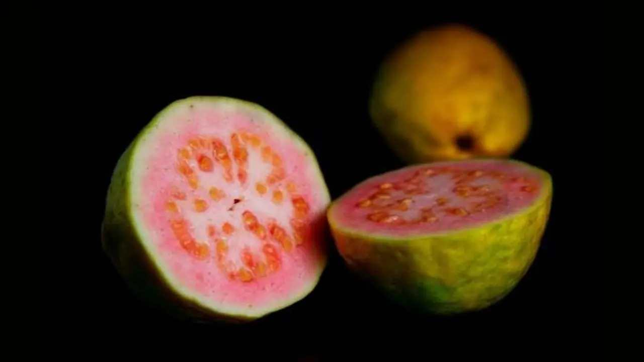 Health Tips : கொய்யா உடலுக்கு நல்லது தான் ஆனால்..? நிபுணர்கள் விடுக்கும் எச்சரிக்கை..!! Health Tips : கொய்யா உடலுக்கு நல்லது தான் ஆனால்..? நிபுணர்கள் விடுக்கும் எச்சரிக்கை..!!