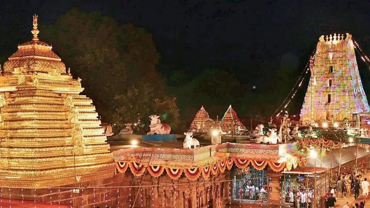 ಶ್ರೀಶೈಲಂ ದೇವಸ್ಥಾನ ಪ್ರಸಾದದಲ್ಲಿ ಮೂಳೆ ಪತ್ತೆ, ಆಂಧ್ರ ಸರ್ಕಾರದ ವಿರುದ್ಧ ಭಕ್ತರು ಗರಂ!