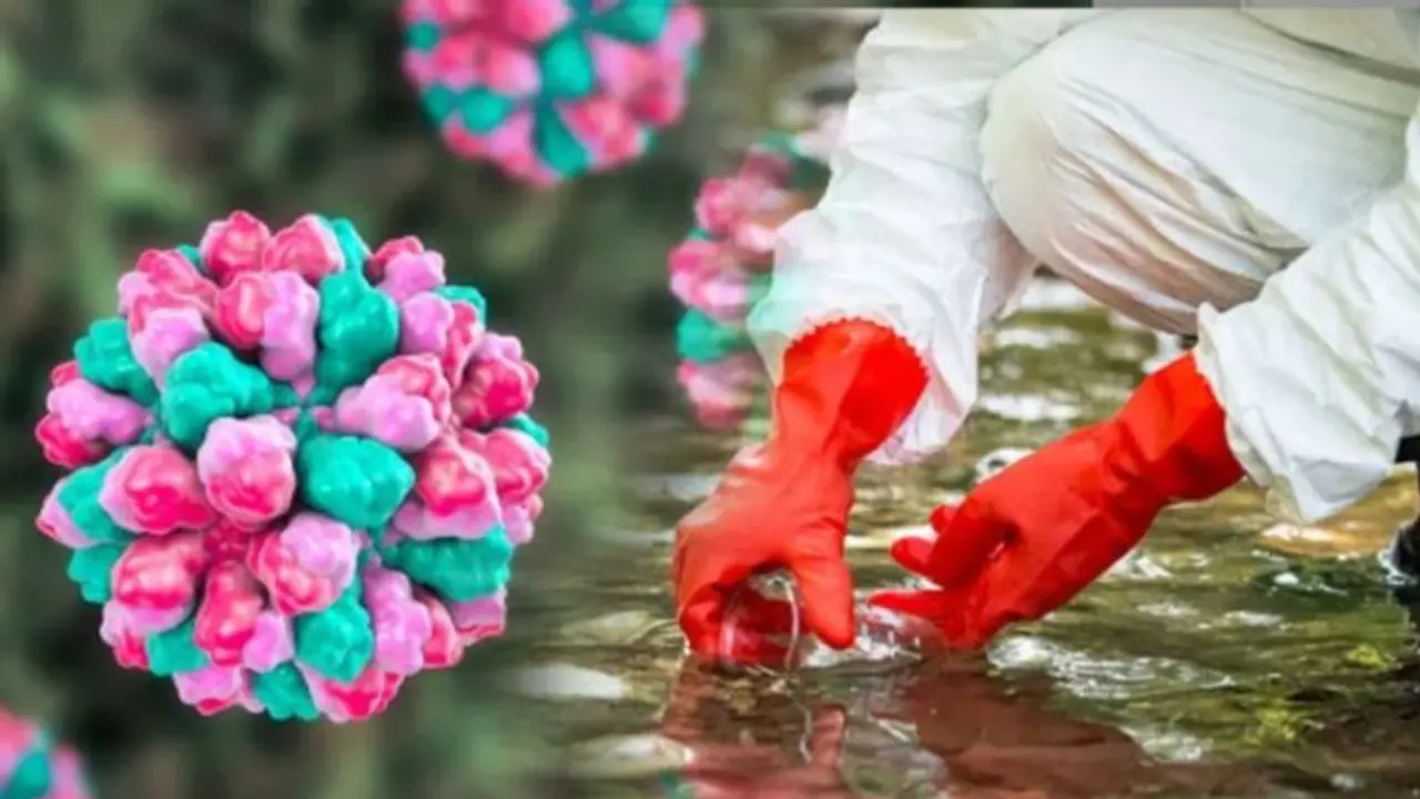 Norovirus in Kerala| ಕೊರೋನಾ ಬಳಿಕ ಕೇರಳದಲ್ಲಿ ನೋರೋ ವೈರಸ್ ಪತ್ತೆ! Norovirus in Kerala| ಕೊರೋನಾ ಬಳಿಕ ಕೇರಳದಲ್ಲಿ ನೋರೋ ವೈರಸ್ ಪತ್ತೆ!