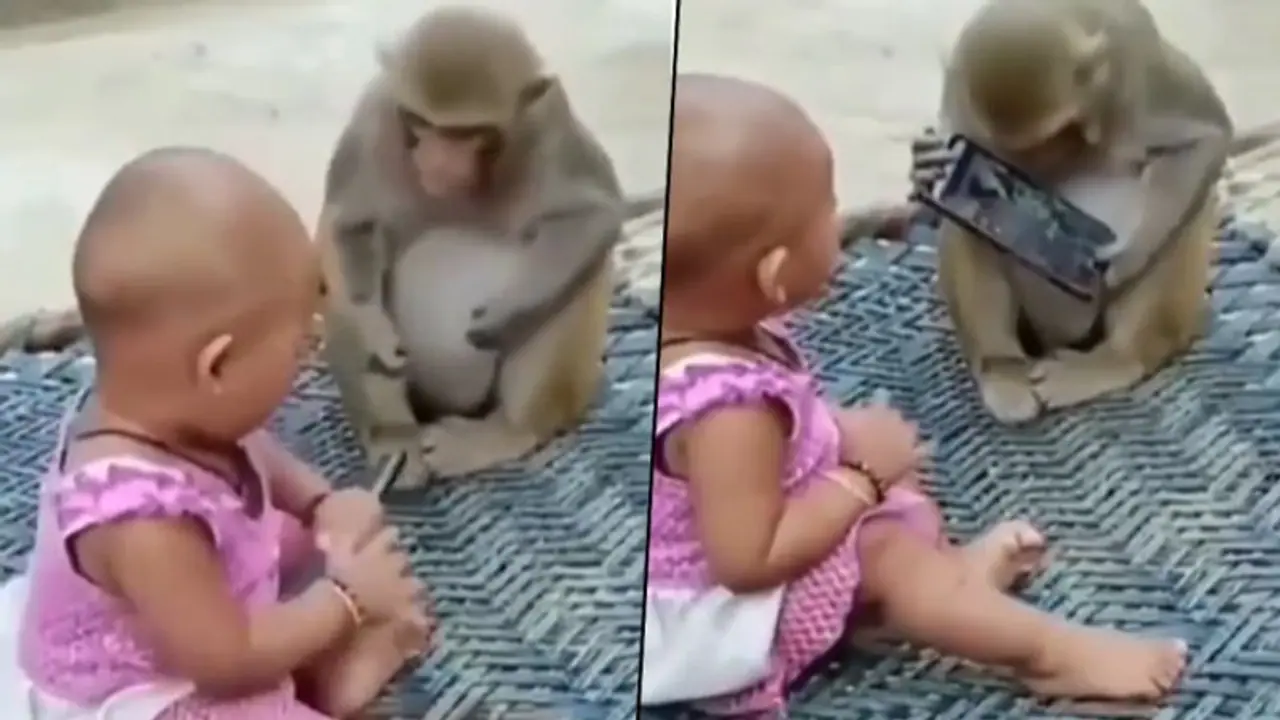 Monkey, little girl snatch mobile phone from each other; hilarious video goes viral