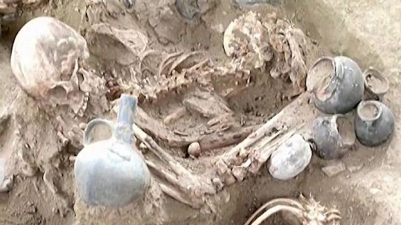 പുരാതന നഗരത്തിൽ കൂട്ടക്കുഴിമാടം, അവശിഷ്ടങ്ങളിൽ ഭൂരിഭാഗവും യുവതികളുടേത് പുരാതന നഗരത്തിൽ കൂട്ടക്കുഴിമാടം, അവശിഷ്ടങ്ങളിൽ ഭൂരിഭാഗവും യുവതികളുടേത്