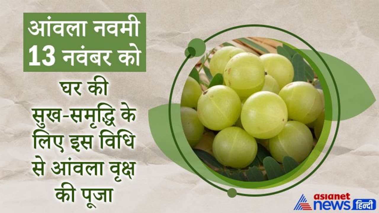 Amla navami 2021: आज इस विधि से आंवला वृक्ष की पूजा करने से घर में बनी रहती है सुख समृद्धि, जानिए महत्व Amla navami 2021: आज इस विधि से आंवला वृक्ष की पूजा करने से घर में बनी रहती है सुख समृद्धि, जानिए महत्व