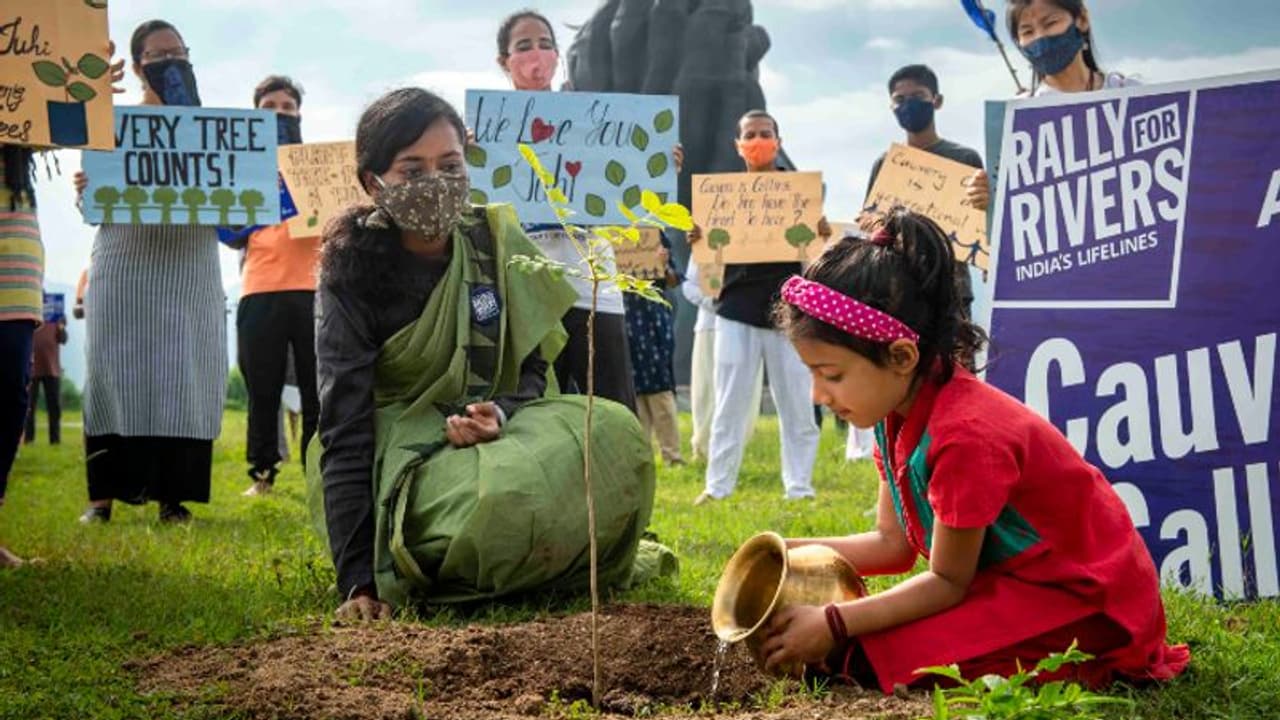 நடிகை ஜூஹி சாவ்லாவின் பிறந்தநாள்: மரக்கன்று நட்டு வாழ்த்து கூறிய காவேரி கூக்குரல் இயக்கம் நடிகை ஜூஹி சாவ்லாவின் பிறந்தநாள்: மரக்கன்று நட்டு வாழ்த்து கூறிய காவேரி கூக்குரல் இயக்கம்