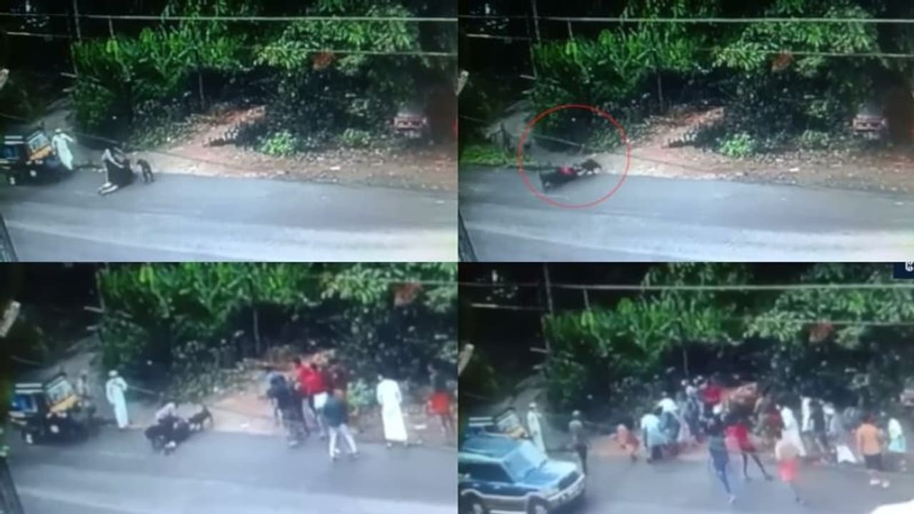 വളർത്തുനായകളുടെ ആക്രമണത്തിൽ യുവതിക്ക് ഗുരുതര പരിക്ക്: ഉടമയെ കസ്റ്റഡിയിലെടുത്ത് പൊലീസ് വളർത്തുനായകളുടെ ആക്രമണത്തിൽ യുവതിക്ക് ഗുരുതര പരിക്ക്: ഉടമയെ കസ്റ്റഡിയിലെടുത്ത് പൊലീസ്