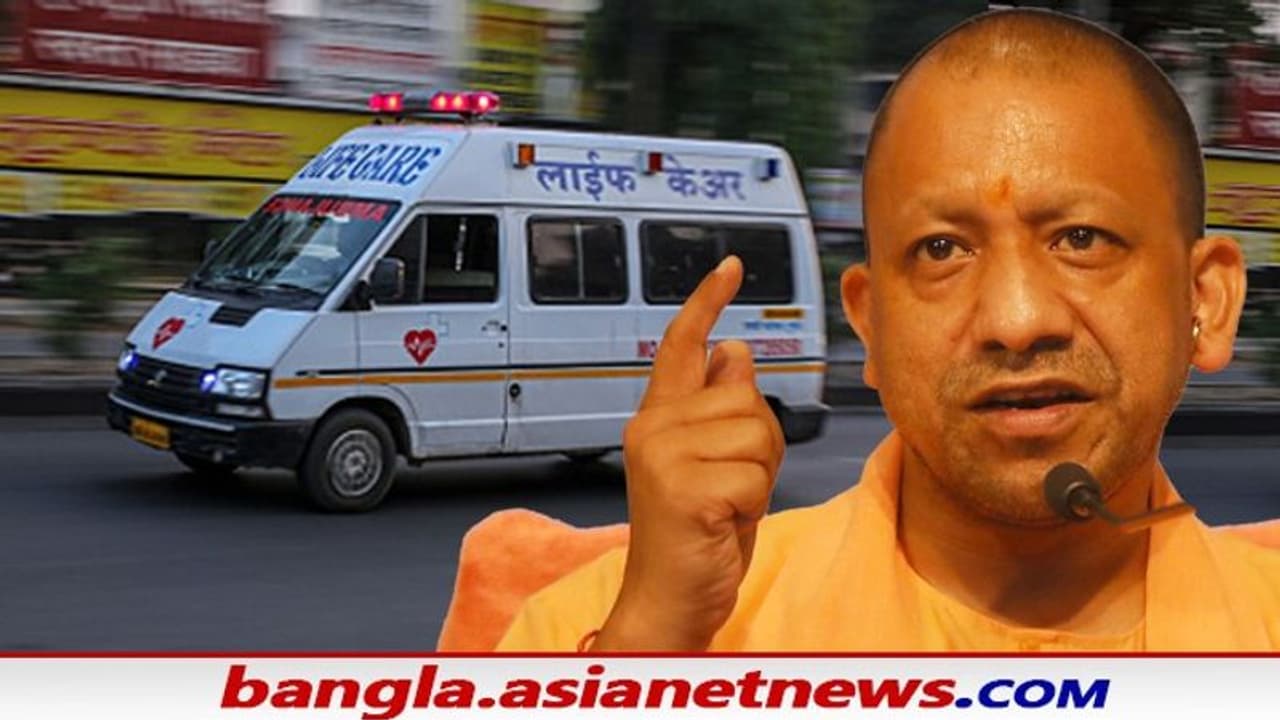 Uttarpradesh News গরুর জন্য অ্যাম্বুল্যান্স পরিষেবা! নজিরবিহীন সিদ্ধান্ত যোগী সরকারের