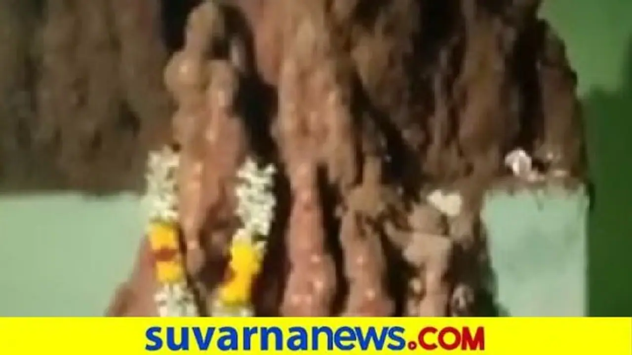 ಮನೆಯೊಳಗೆ ಮೂಡಿದ ದೊಡ್ಡ ಹುತ್ತ : ಅಲ್ಲಿಂದ ಚಿಮ್ಮುತ್ತಿದೆ ಜಲದ ನೀರು ಮನೆಯೊಳಗೆ ಮೂಡಿದ ದೊಡ್ಡ ಹುತ್ತ : ಅಲ್ಲಿಂದ ಚಿಮ್ಮುತ್ತಿದೆ ಜಲದ ನೀರು