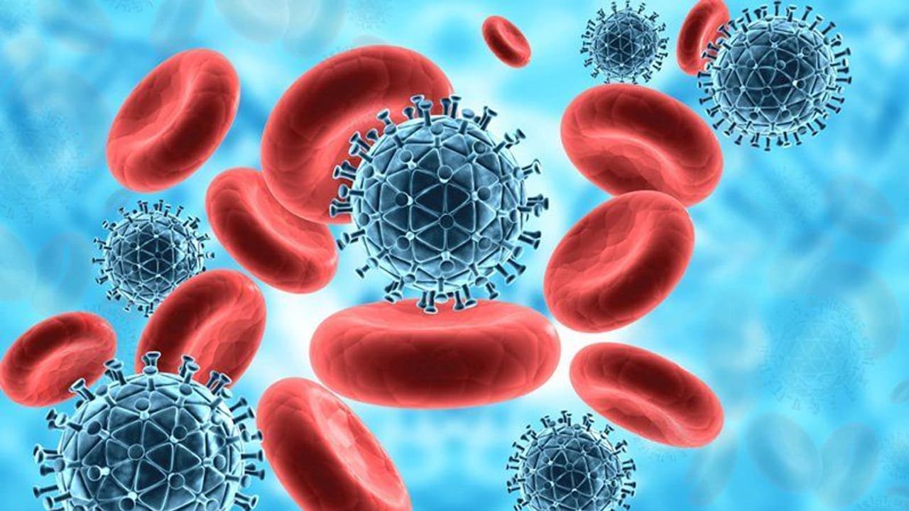 immunity| ഈ ഭക്ഷണങ്ങൾ രോ​ഗപ്രതിരോധശേഷി കുറയ്ക്കാം