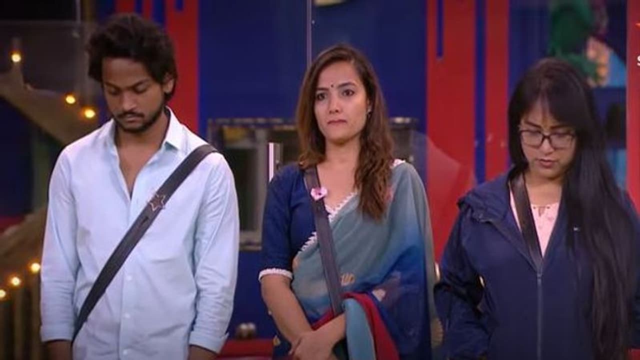 కాజల్పై బోల్డ్ స్టేట్మెంట్ ఇచ్చిన షణ్ముఖ్.. నామినేషన్లో ఒక్కరు తప్ప అందరు.. ఈ సారి రచ్చే కాజల్పై బోల్డ్ స్టేట్మెంట్ ఇచ్చిన షణ్ముఖ్.. నామినేషన్లో ఒక్కరు తప్ప అందరు.. ఈ సారి రచ్చే