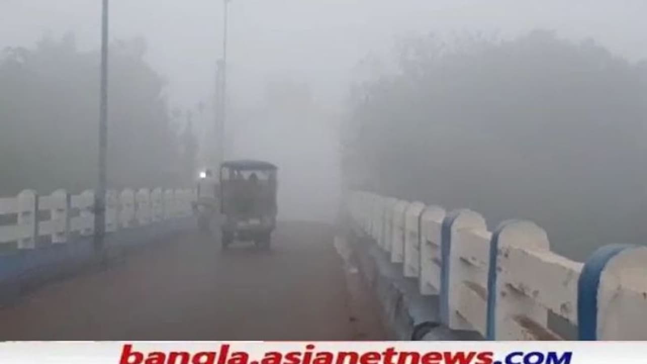 Fog: মঙ্গলবার ভোর থেকেই ঘনকুয়াশায় ঢেকেছে একাধিক জেলা, সমস্যার মুখোমুখি সড়ক ও রেলপথ Fog: মঙ্গলবার ভোর থেকেই ঘনকুয়াশায় ঢেকেছে একাধিক জেলা, সমস্যার মুখোমুখি সড়ক ও রেলপথ