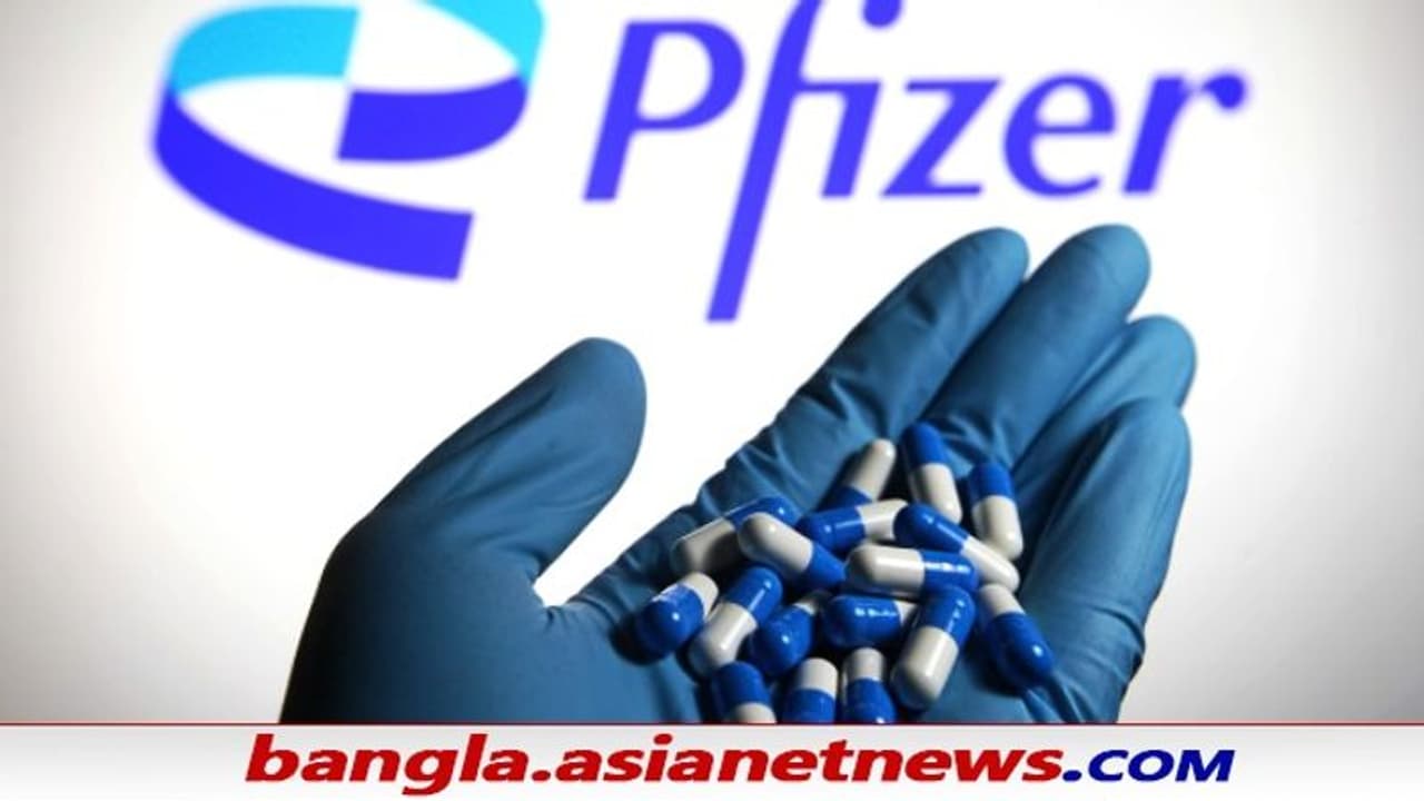 Pfizer Covid Pill: করোনাবিশ্বে আশার আলো ফাইজারের কোভিড বড়ি, ওমিক্রনের বিরুদ্ধে কার্যকর ওষুধ Pfizer Covid Pill: করোনাবিশ্বে আশার আলো ফাইজারের কোভিড বড়ি, ওমিক্রনের বিরুদ্ধে কার্যকর ওষুধ