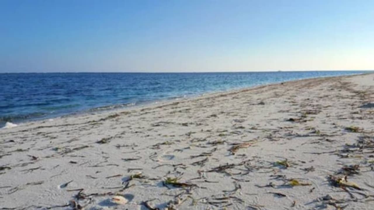 ഒരുകോടി ചെലവഴിച്ച് ബീച്ച് വൃത്തിയാക്കി, മാലിന്യം വീണ്ടും വലിച്ചെറിഞ്ഞത് കടലിലേക്ക് തന്നെ ഒരുകോടി ചെലവഴിച്ച് ബീച്ച് വൃത്തിയാക്കി, മാലിന്യം വീണ്ടും വലിച്ചെറിഞ്ഞത് കടലിലേക്ക് തന്നെ