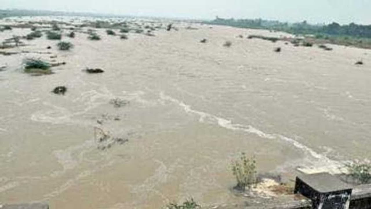 ಕಣ್ವನದಿಯಲ್ಲಿ ತೇಲಿ ಬರುತ್ತಿರುವ ಶವ : ಆತಂಕದಲ್ಲಿ ಜನ ಕಣ್ವನದಿಯಲ್ಲಿ ತೇಲಿ ಬರುತ್ತಿರುವ ಶವ : ಆತಂಕದಲ್ಲಿ ಜನ