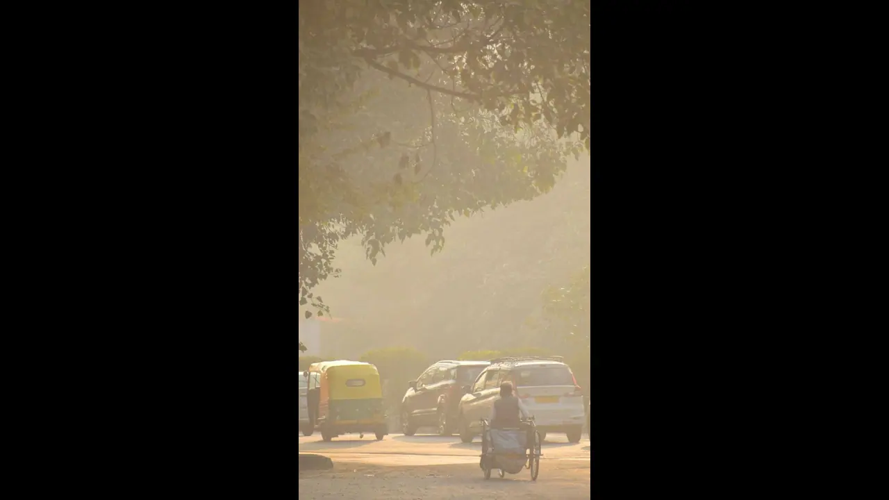 Every country fails to meet WHO's air quality standards in 2021: Report