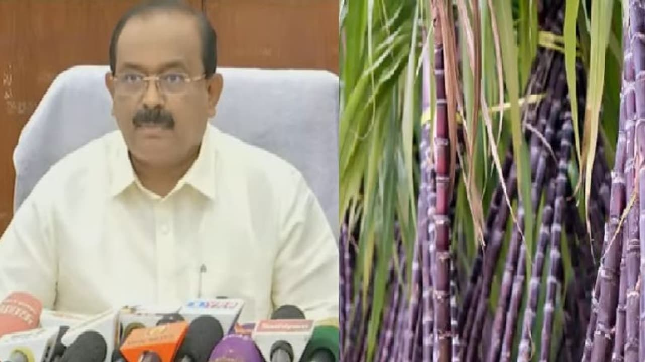 பொங்கல் பரிசு தொகுப்பில் கரும்பு இல்லையா? விளக்கம் அளித்தார் அமைச்சர் சக்கரபாணி!! பொங்கல் பரிசு தொகுப்பில் கரும்பு இல்லையா? விளக்கம் அளித்தார் அமைச்சர் சக்கரபாணி!!