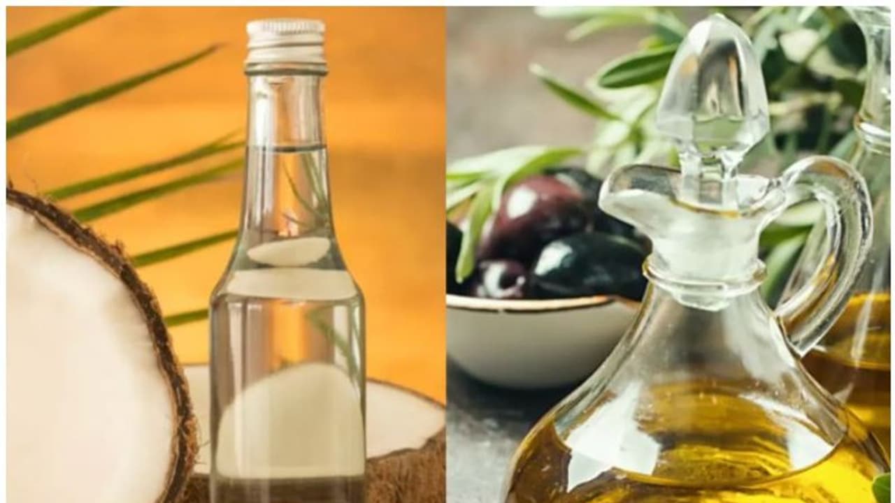 olive oil or coconut oil | ഒലീവ് ഓയിലോ വെളിച്ചെണ്ണയോ? ഏതാണ് നല്ലത്?