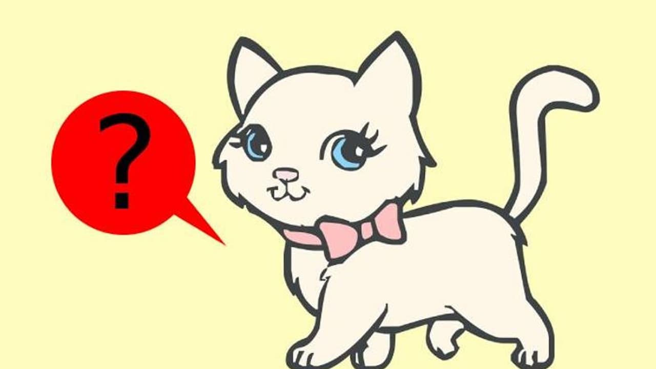 ഇത് ക്രൂരത, സംസാരിക്കുന്ന പൂച്ചയുടെ ഉടമയ്‍ക്കെതിരെ മൃഗസ്നേഹികള്‍, അവസാനം പൊലീസ് സ്റ്റേഷനിൽ പരാതിയും