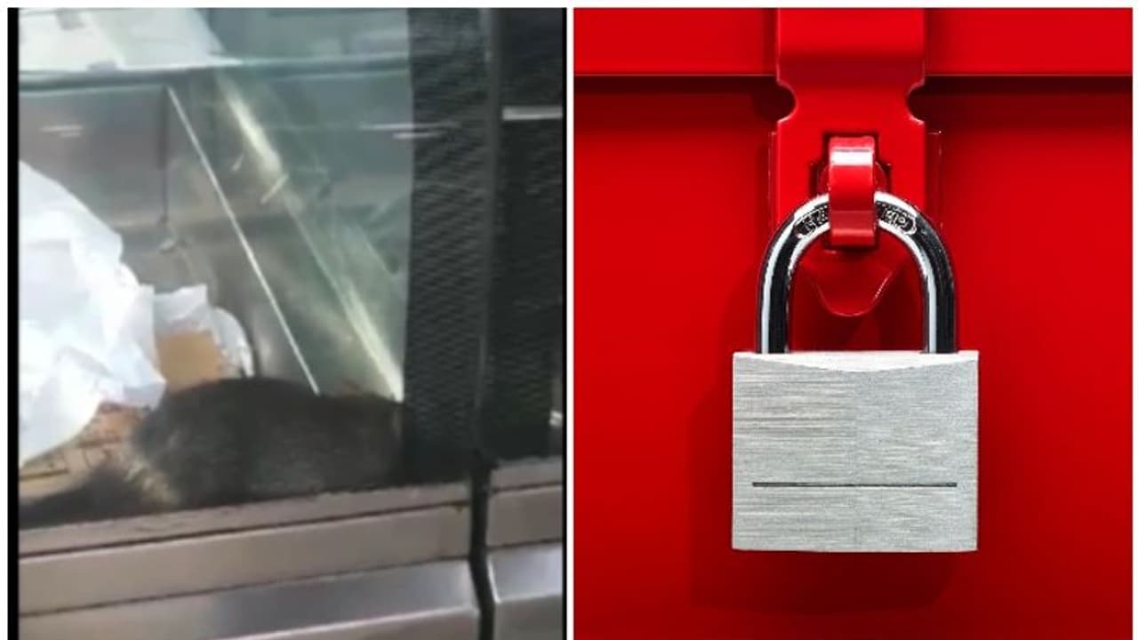 കോഴിക്കോട് ബേക്കറിയിലെ പലഹാരം സൂക്ഷിച്ച ചില്ല് കൂട്ടിൽ ജീവനുള്ള എലി: ബേക്കറി പൂട്ടിച്ചു കോഴിക്കോട് ബേക്കറിയിലെ പലഹാരം സൂക്ഷിച്ച ചില്ല് കൂട്ടിൽ ജീവനുള്ള എലി: ബേക്കറി പൂട്ടിച്ചു