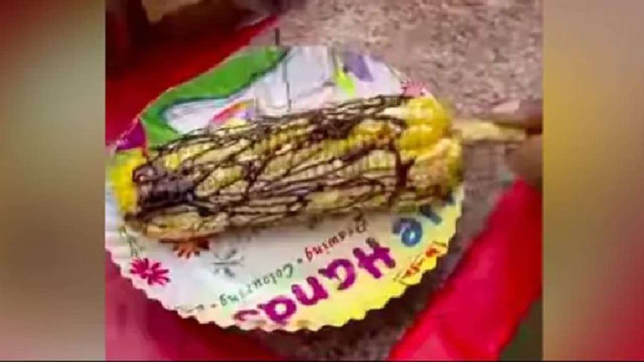 Viral Video| സ്ട്രീറ്റ് ഫുഡില് വിചിത്രമായ പരീക്ഷണം; വൈറലായി വീഡിയോ Viral Video| സ്ട്രീറ്റ് ഫുഡില് വിചിത്രമായ പരീക്ഷണം; വൈറലായി വീഡിയോ