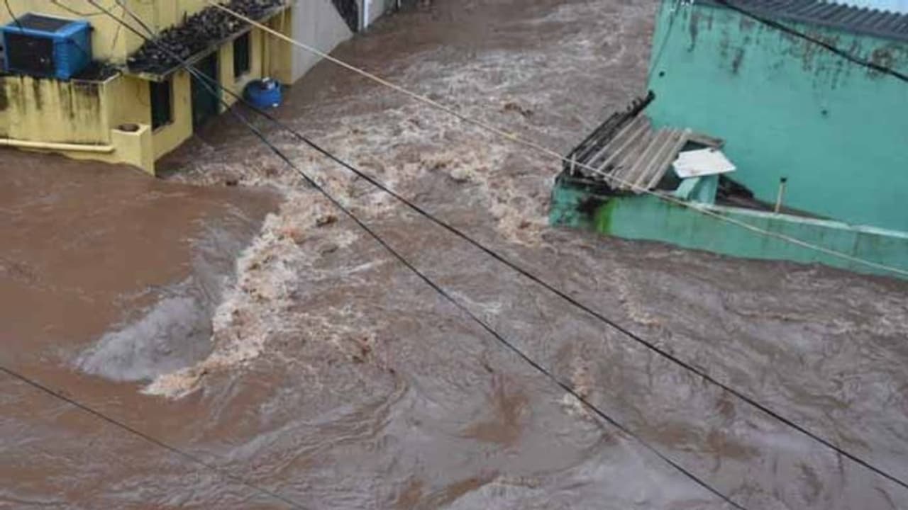 ఏ అవసరం ఉన్నా అడగండి: భారీ వర్షాలపై సీఎం జగన్ సమీక్ష, మూడు జిల్లాల కలెక్టర్లకు ఫోన్ ఏ అవసరం ఉన్నా అడగండి: భారీ వర్షాలపై సీఎం జగన్ సమీక్ష, మూడు జిల్లాల కలెక్టర్లకు ఫోన్