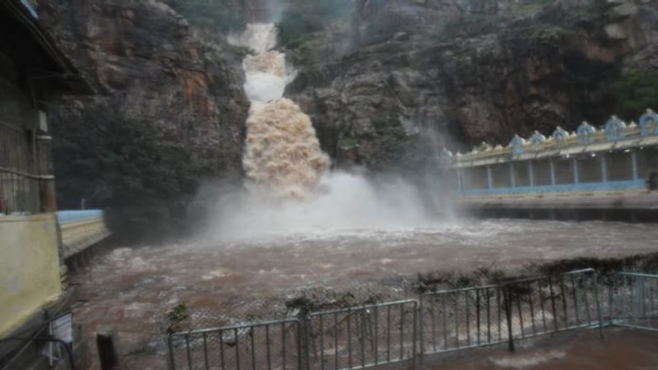 Tirupati Rains: తిరుపతిలో కుండపోత...చెరువులను తలపిస్తున్న రోడ్లు, జలపాతంలా తిరుమల కొండ (వీడియో)